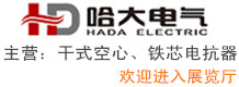 山東哈大電氣有限公司